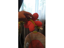 IMG 20160804 161213.jpg