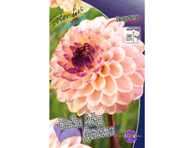 81,8���. �������� ���� ��� �����(�������� ���� �� 1 ��., ����������� ����� 1��.).jpg