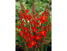 14,37���. ��������� ��������(���������� ������ ������ ���������� �� 10 ��.)���17.jpg