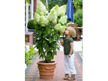 ��������� ����������� �������� ������� �9,5-251�.jpg