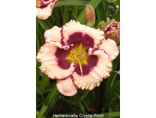 172,1���. �������� ������� ����(�������� ���� �� 1 ��., ����������� ����� 1��.).jpg