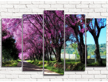 ����� 5-1.jpg