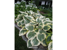 164,2���. ����� �������(�������� ���� �� 1 ��., ����������� ����� 1��.)���16.jpg