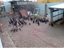 IMG 20161007 131651.jpg