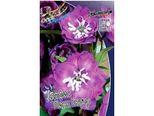 153,2���. ���������� ������ ���� �����(�������� ���� �� 1 ��., ����������� ����� 1��.).jpg