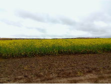 ���������� ��� ����.