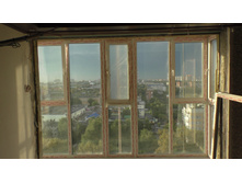 S1130006.JPG