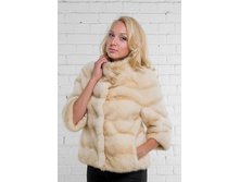 ���� ������ �8