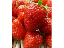 32,84���. ��������� ������� ���� �� ���(���������� ������ ������ ����������. � �������� 5 ��.).jpg