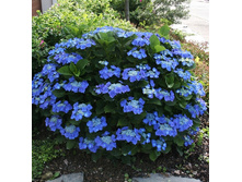 141���. ��������� �������������� ���������.jpg