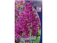 123,1���. ������� �����������(�������� ���� �� 1 ��., ����������� ����� 1��.).jpg