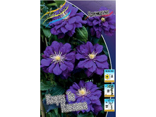 136,6���. �������� ���� �� ������(�������� ���� �� 2 ��., ����������� ����� 1��.).jpg