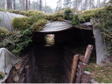 IMG 20161029 081639.jpg