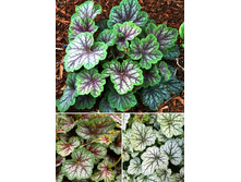 164,2���. ������� ���� �����(�������� ���� �� 1 ��., ����������� ����� 1��.).jpg