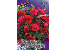 65,28���. ������� ������� ��� �����(�������� ���� �� 4 ��., ����������� ����� 1��.).jpg