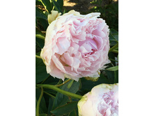 653,9���. ���� ����� ���� ������(�������� ���� �� 1 ��., ����������� ����� 1��.)���17.jpg