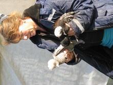 IMG 6727.jpg