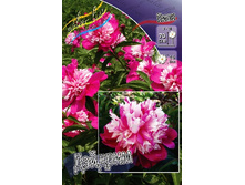 507,8���. ���� �������(�������� ���� �� 1 ��., ����������� ����� 1��.).jpg