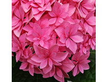 251���. ��������� �������������� ��������.jpg