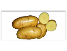 ����� (1 �����������) 34���. �� 1��.jpg