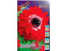 6,15���. ������� ��������(���������� ������ ������ ���������� �� 10 ��.).jpg