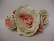 ������� �� ����