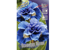 82,9���. ���� ��������� ������� ����(�������� ���� �� 2 ��., ����������� ����� 1��.).jpg