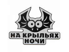 Schildik-na-avto-svetootrazhayushiy-na-krylyah-nochi.jpg