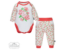 �-��-149  509 ���.