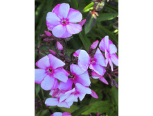 76,6���. ����� ������(�������� ���� �� 2 ��., ����������� ����� 1��.)���17.jpg