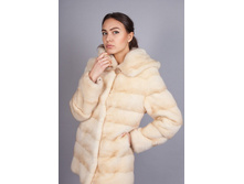 ���� �� ����� ���� ��