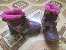 ���� 16.5 �� 100 ���