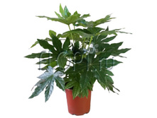 ������ �������� 17�50. 318,15 ���.jpg