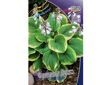 93,1���. ����� �������� ����(�������� ���� �� 1 ��., ����������� ����� 1��.).jpg