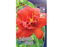 180���. �������� ������� ����(�������� ���� �� 1 ��., ����������� ����� 1��.).jpg