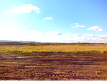 IMG 20161023 113229.jpg