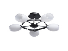 324013905 1700�.jpg