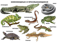 ������. ����������� � �������������� - 13,48 ���