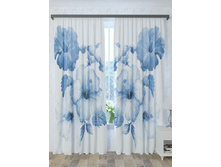 300055 �����.jpg