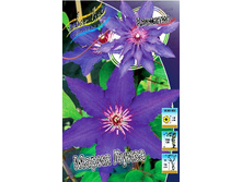 136,6���. �������� ����� �����(�������� ���� �� 2 ��., ����������� ����� 1��.).jpg