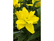 49,24���. ����� ������ ������(��� 5 ��. ���������� �� 2��.)���16.jpg