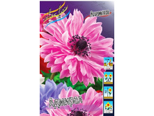 6,15���. ������� �������(���������� ������ ������ ���������� �� 10 ��.).jpg