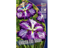 145,3���. ���� ���������� ����� �� ���(�������� ���� �� 1 ��., ����������� ����� 1��.).jpg