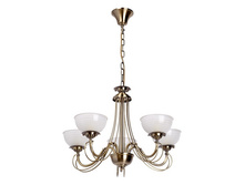 347016905 4900�.jpg