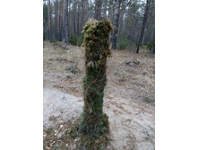 IMG 20161029 081658.jpg