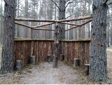 IMG 20161029 081512.jpg