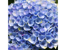 467���. ��������� �������������� �������� �������� ���.jpg