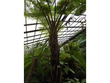 DSCF8130.JPG