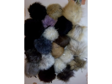 IMG 20161024 142915.jpg