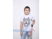 21/041 ���-002 �������� ������, 122-152 ���������, �����